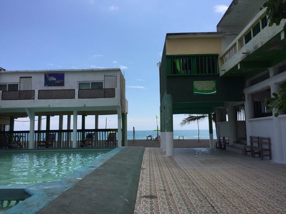 Tortugas Place Hotel Y Bungalos モンテリコ エクステリア 写真